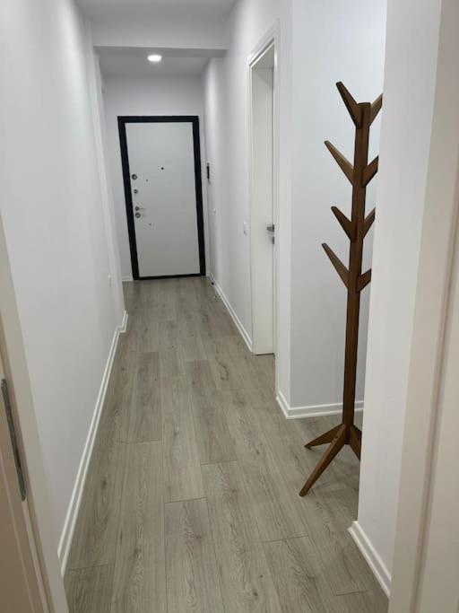 Melody Apartment In كورتشي المظهر الخارجي الصورة